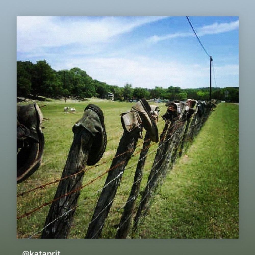 Meet your Posher, Kat